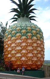The Big Pineapple, Queensland