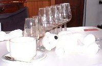 Paddy collapsed after 7 glasses of wine at the winery, Sydney