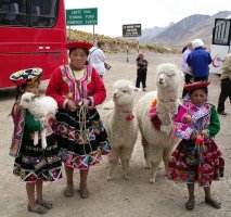 14,108 feet above sea level