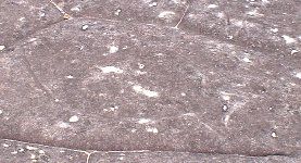 Aboriginal Fish Carving in Stone