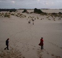 Henty Dunes, Tasmania