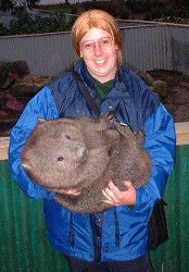 Marie holding a Wombat, Tasmania