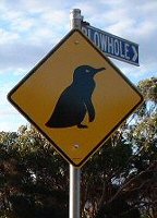 Penguin Sign, Bicheno, Tasmania