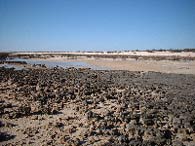 Stromatolites, Western Australia